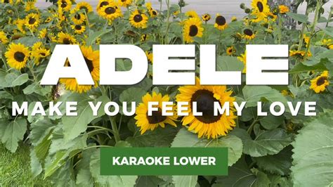 make you feel love karaoke